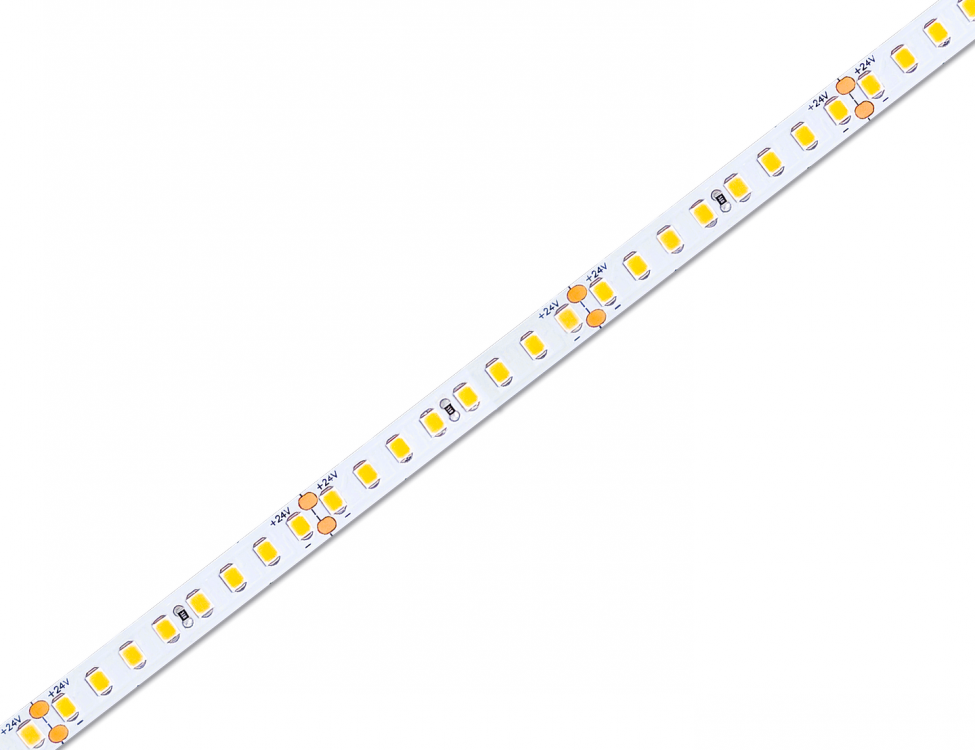 160LEDs/M (12W/M)